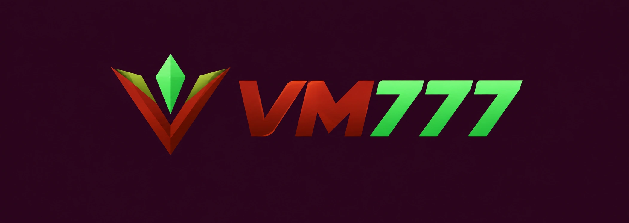 VM777 Logo
